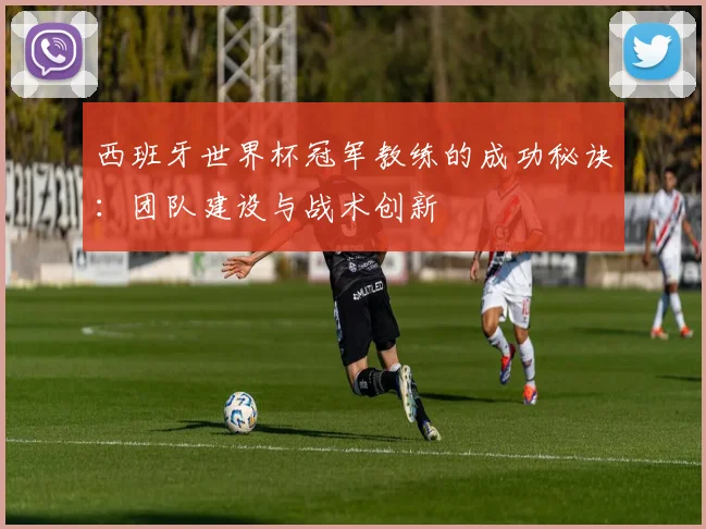 西班牙世界杯冠军教练的成功秘诀：团队建设与战术创新