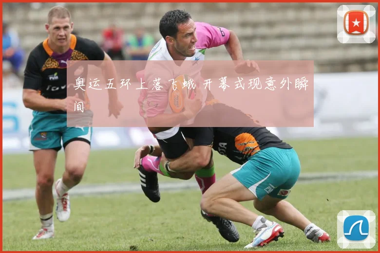 奥运五环上落飞蛾 开幕式现意外瞬间