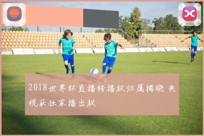 2018世界杯直播转播权归属揭晓 央视获独家播出权