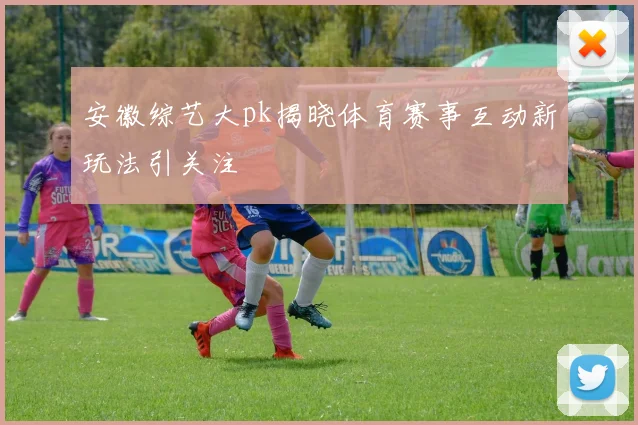 安徽综艺大pk揭晓体育赛事互动新玩法引关注