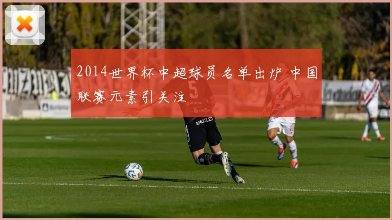 2014世界杯中超球员名单出炉 中国联赛元素引关注
