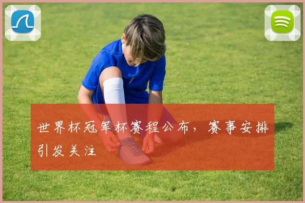 世界杯冠军杯赛程公布,赛事安排引发关注