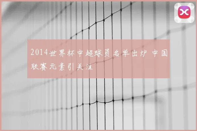 2014世界杯中超球员名单出炉 中国联赛元素引关注